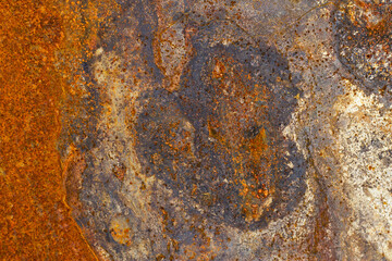 Metal rusty background with abstract natural drawings. Abstraction and colorful old rusted surface. Iron city wall. Corroded metallic backdrop.