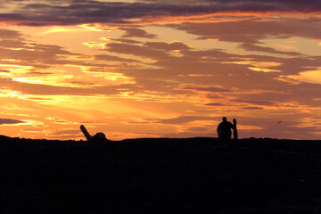 silhouette of a person with a dog at sunset