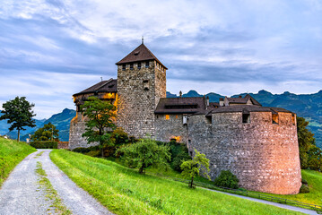 Fototapeta na wymiar Vaduz Castle in Liechtenstein