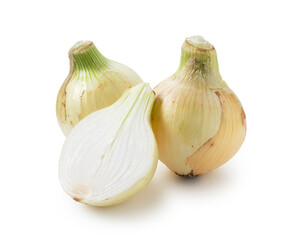 New onions on a white background