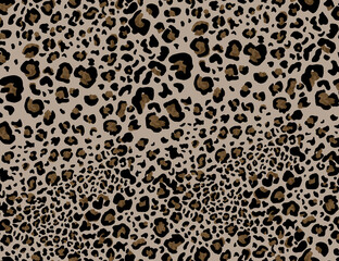Seamless leopard design pattern, animal print.