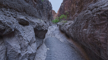Big Bend State Park Closed Canyon Trail