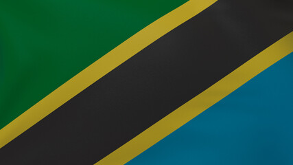 Tanzania flag texture