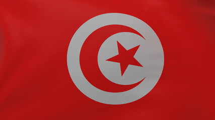 Tunisia flag texture