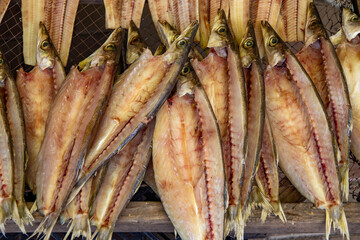 たくさんのサバの干物