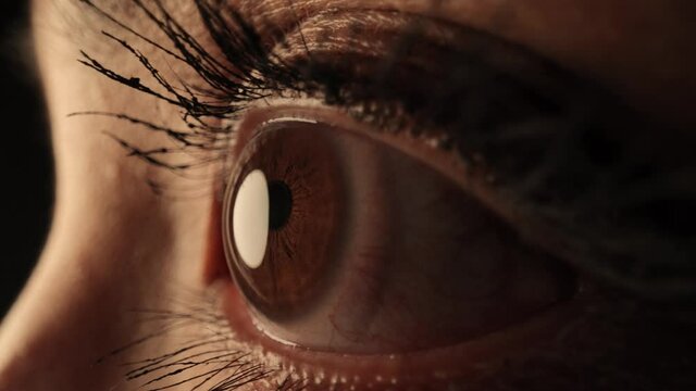 The Eyes of a woman - extreme close up shot - studio shooting