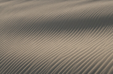 Fototapeta na wymiar 鳥取砂丘にできた風紋 