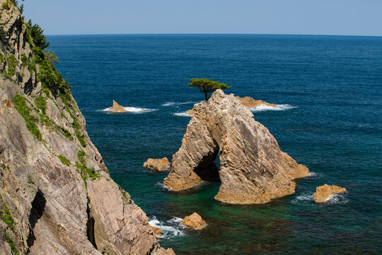 浦富海岸の千貫松