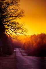 A beautiful landscape with a country road in misty morning during the sunrise. Morning scenery of a road in sprintime. Northern Europe.