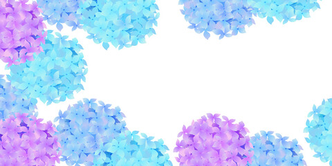 あじさい　梅雨　花　背景