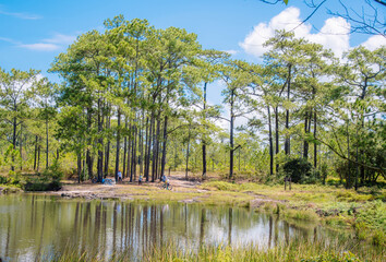 Obraz premium Mountain basin, Anodat Sra, Phu Kradueng, Thailand