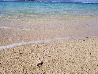 砂浜