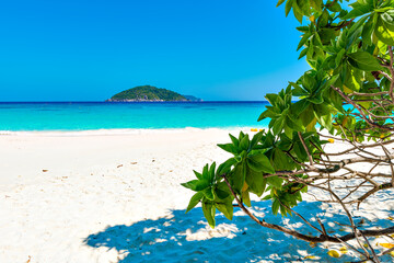 Scenic Seascape View of Ko Miang Island, One of Ko Similan Islands in Summer Blue Sky Day, Phang-gna, Thailand