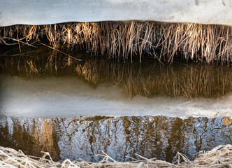grass, ice and water abstract reflection