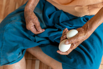 Close-up of the old woman's hand Poor Thai grandmother holds a large white duck egg for dinner. Pure egg whites with the hands of a healthy old woman