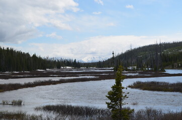 Late Spring in Yellowstone National Park: Lewis River Downstream of Lewis Falls Next to the South Entrance Road With Owl Peak and Elk Mountain of the Teton Range in the Distance