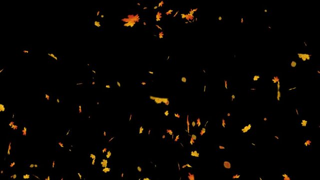 Explosion of autumn maple leaves realistic.3D rendering.Element footage. Easy to use and change color.