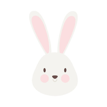 cute bunny face