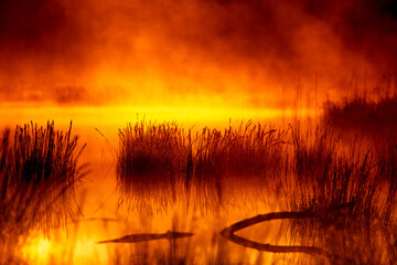 Dramatic, artistic scenery of a sunrise over flooded wetlands in Northern Europe. Springtime swamp with mist and colors. Beautiful scenery in the spring morning.