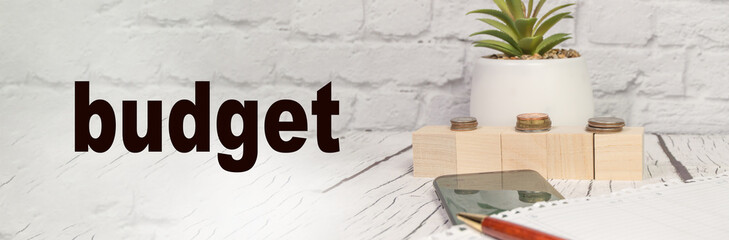 Coins on wooden cubes, on a table with a flower, a pen, a phone, on the background of a light brick wall, with the text budget. Financial concept, BANNER