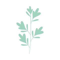 green leaves stem