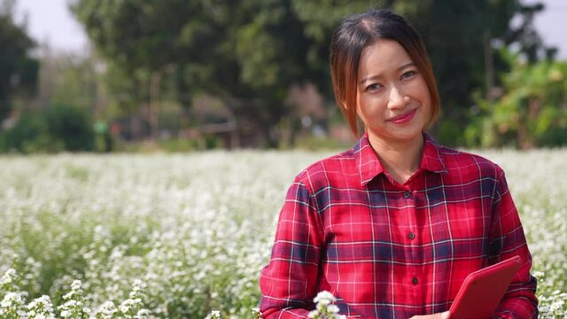4K Portrait of Young Asian woman farmer standing in white daisy flowers farm with happiness smiling face. Smart female flower garden owner using technology do small business with agricultural product
