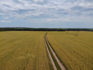 Aerial view of the road in the field (Ryabovo, Kirov region, Russia)