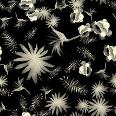 White Tropical Exotic. Black Seamless Background. Gray Pattern Art. Flower Hibiscus. Spring Hibiscus. Garden Plant. Wallpaper Leaves. Decoration Hibiscus.