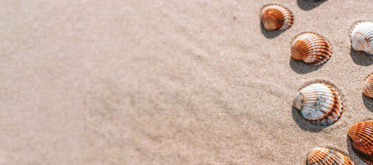 Summer concept background with seashells, shells on sand tropical sea beach. Design of summer vacation holiday concept.