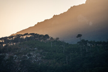 Sunset in the mountains among the green trees
