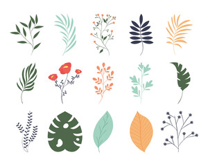 tropical leaves set