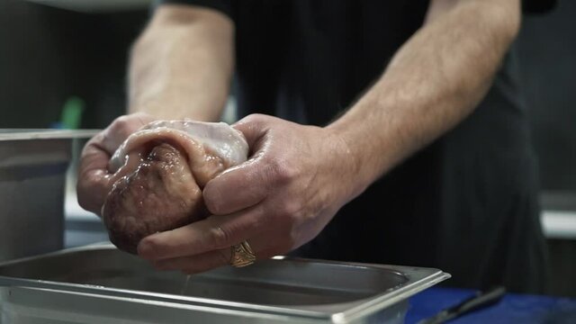 Chef turning stomach of eginephelus aeneus inside out