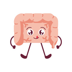Obraz premium cute intestine organ