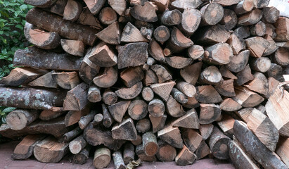 leña apilada esperando el invierno