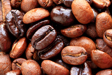 coffee beans background