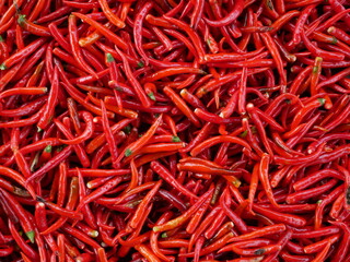 Fototapeta premium The top view of dried red chillies. Spicy flavor. Used for seasoning curry and tom yum.