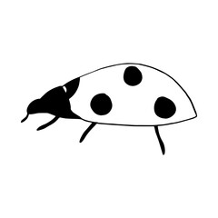 Obraz premium ladybug icon. hand drawn doodle style. vector, minimalism, monochrome, sketch. insect.