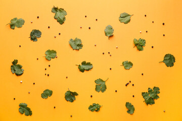 Fresh cilantro and peppercorns on color background
