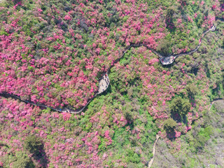 Spring aerial scenery of Huangpi Mulan Yunwu Mountain in Wuhan, Hubei