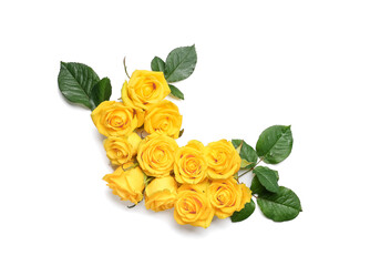 Fresh yellow roses with green leaves on white background