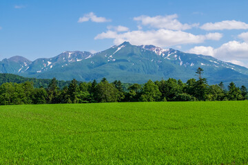 初夏の上川町 大雪山が見える風景
