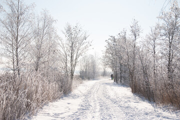 Obraz premium Winterlandschaft