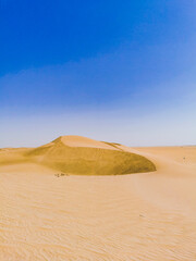 Fototapeta na wymiar Sand wave in Saudi Arabia desert dunes