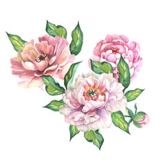 bouquet of flowers.watercolor peony
