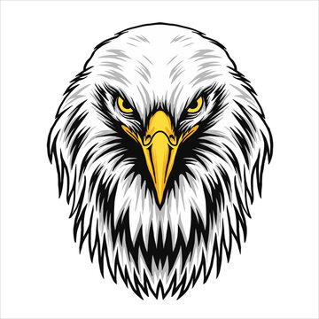 design illustration eagle head vector