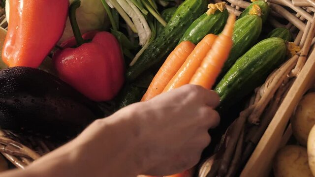 Assortment of fresh vegetables and fruits on wooden table