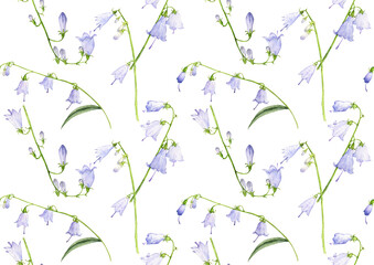 watercolor drawing seamless pattern with daisy flowers