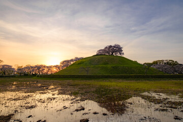 さきたま古墳公園の夕陽