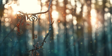 vintage golden key in mystery forest, natural abstract background. magical beautiful key, symbol of...