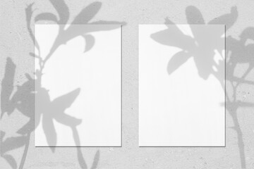 Two empty white vertical rectangle poster mockups with soft shadows of lily flowers on neutral light grey concrete wall background. Flat lay, top view